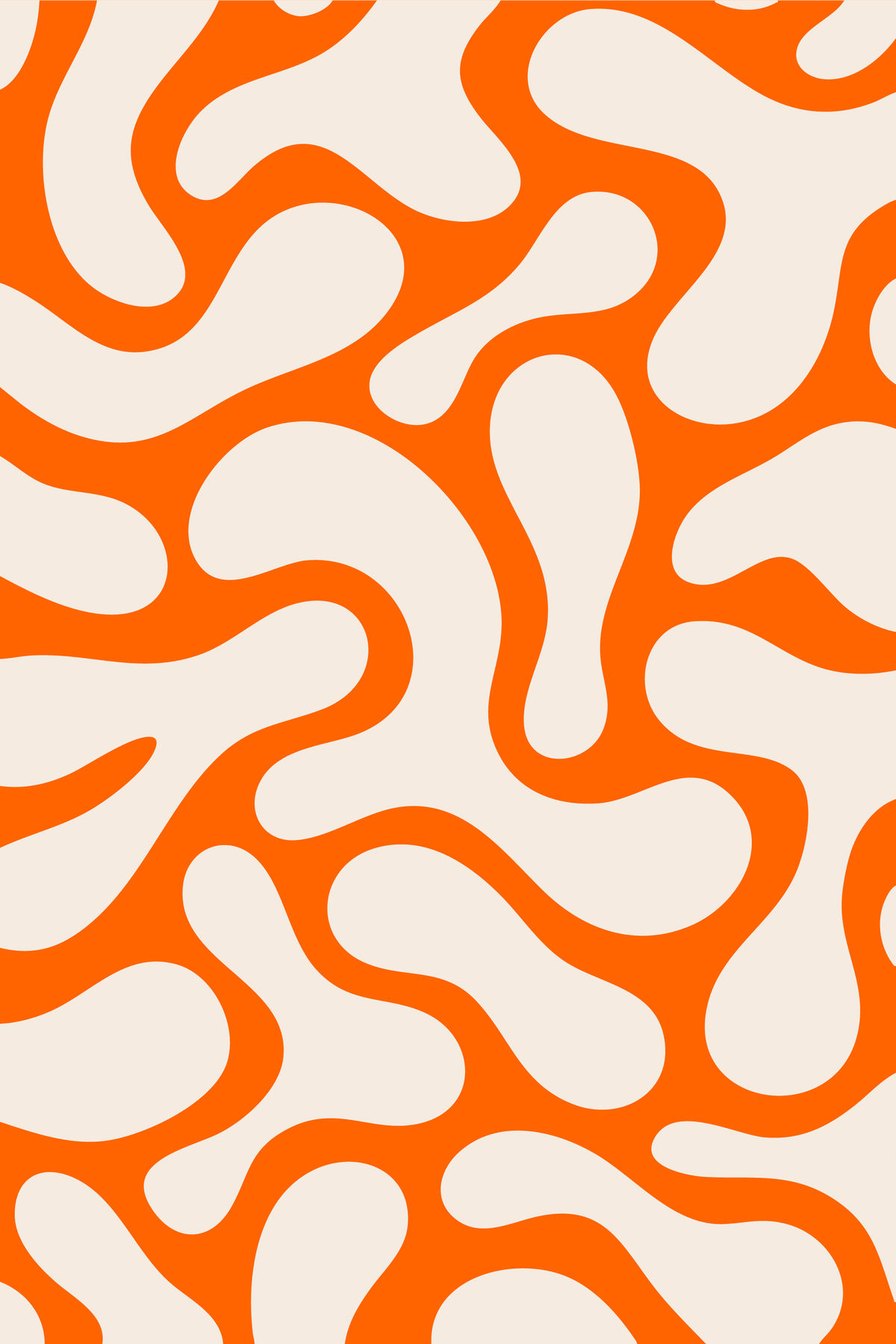 Animation Collaborative